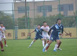 开云手机登录界面-足球比赛拼搏